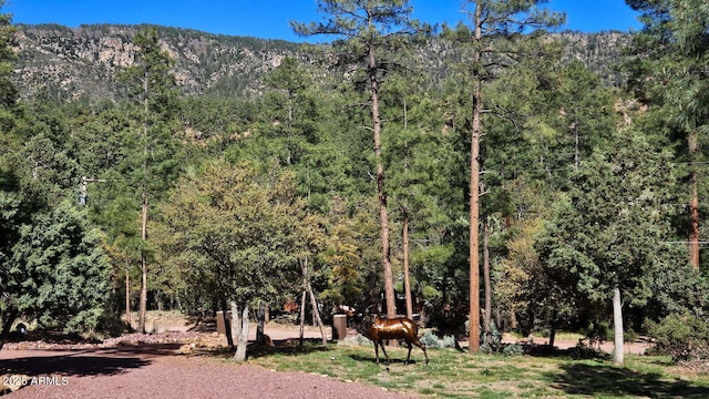 4990 N Pine Creek Canyon Dr, Pine, AZ 85544 - view of mountain backdrop featuring a forest