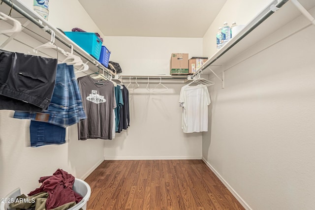 8939 W Villa Rita Dr, Peoria, AZ 85382 - walk in closet with wood finished floors