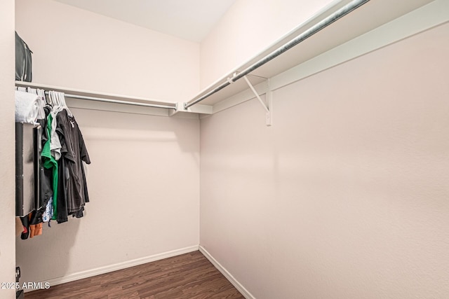 8939 W Villa Rita Dr, Peoria, AZ 85382 - spacious closet featuring wood finished floors