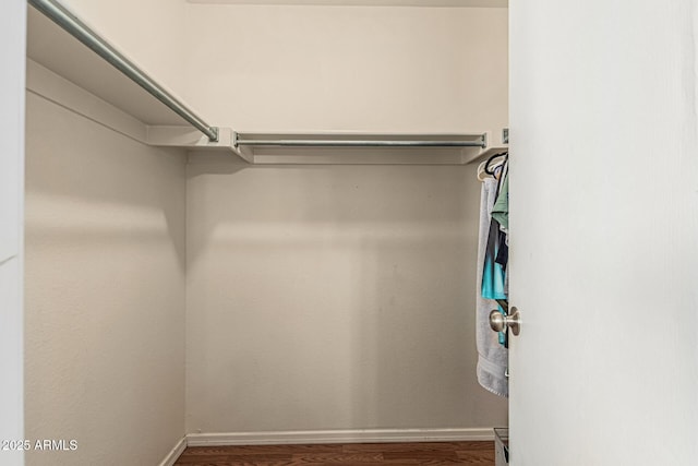 8939 W Villa Rita Dr, Peoria, AZ 85382 - spacious closet with wood finished floors