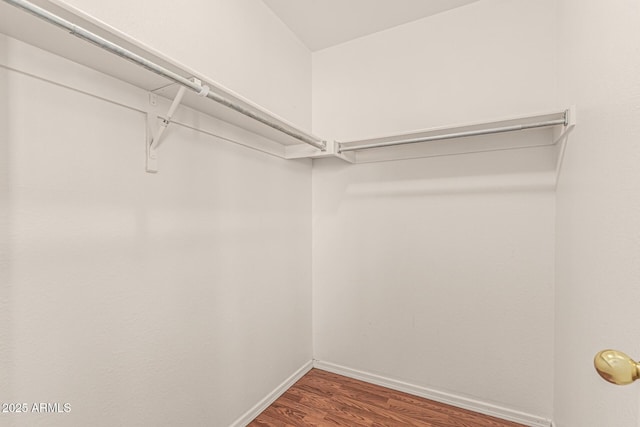 8939 W Villa Rita Dr, Peoria, AZ 85382 - walk in closet with wood finished floors