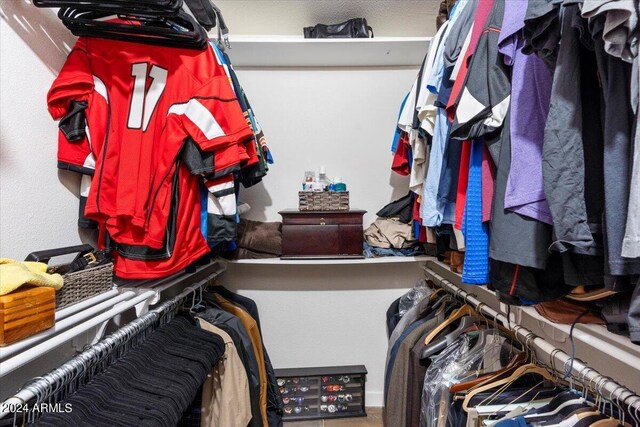 view of spacious closet