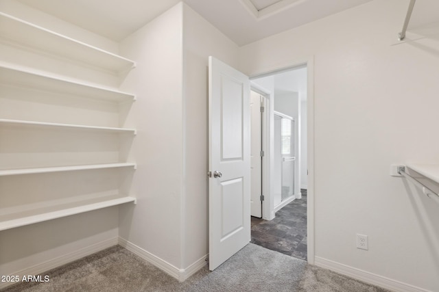 12531 W Glenn Dr, Glendale, AZ 85307 - spacious closet with carpet