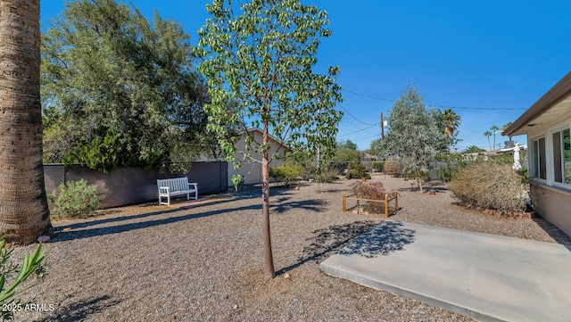 view of yard with a patio area and a fenced backyard