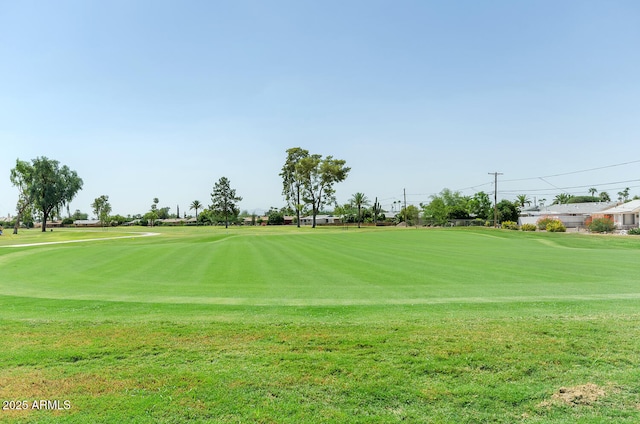 view of community with a yard