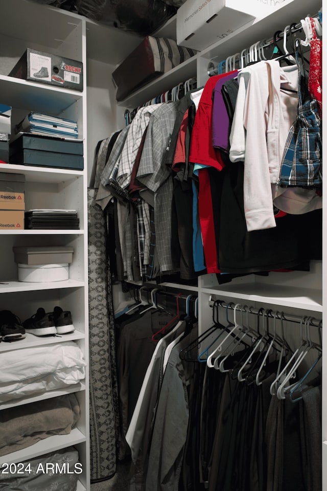 view of spacious closet