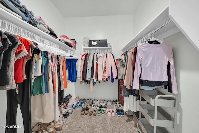 spacious closet featuring carpet flooring