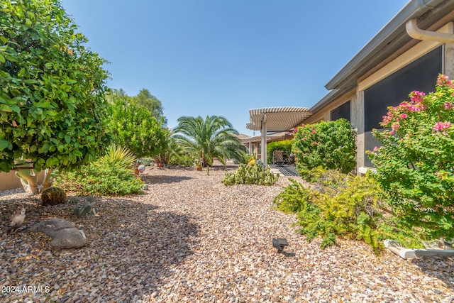 view of yard featuring a pergola