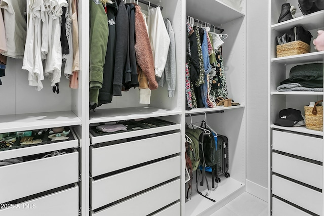 view of spacious closet