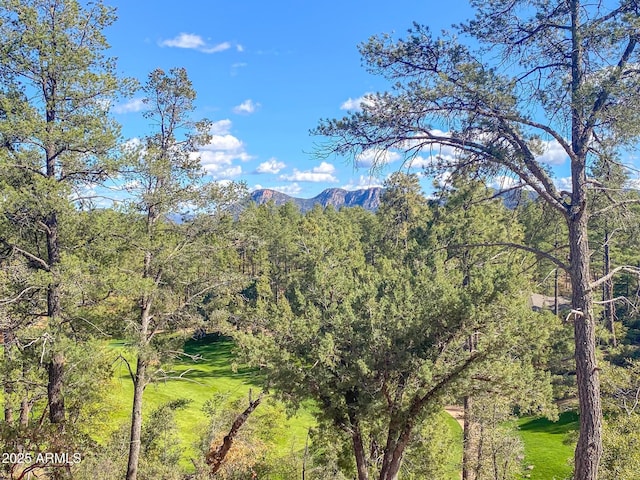 509 N Grapevine Dr Unit 436, Payson, AZ 85541