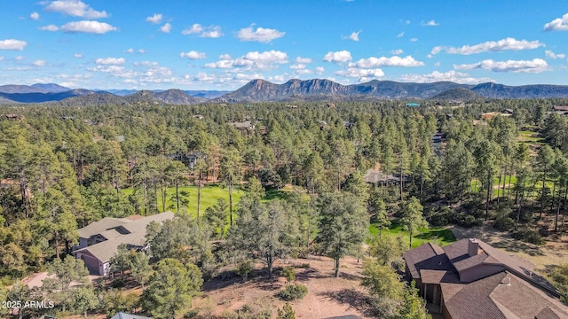 509 N Grapevine Dr Unit 436, Payson, AZ 85541