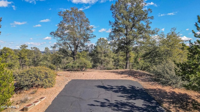 509 N Grapevine Dr Unit 436, Payson, AZ 85541