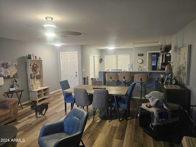 dining area featuring ceiling fan, hardwood / wood-style floors, and sink