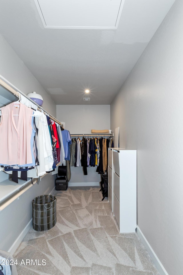 spacious closet featuring light colored carpet