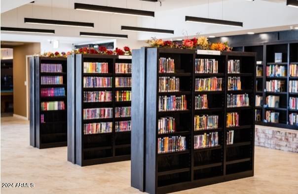 interior space with bookshelves