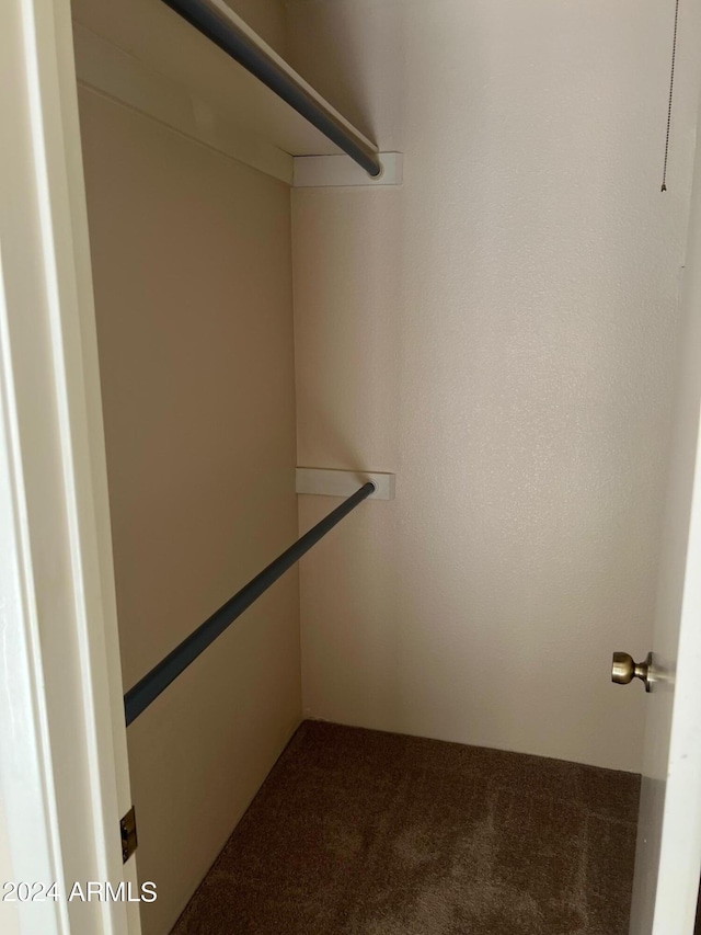 spacious closet featuring carpet floors