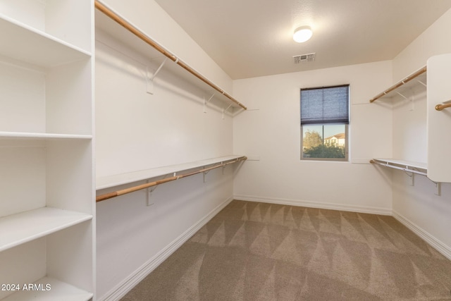 spacious closet featuring carpet floors