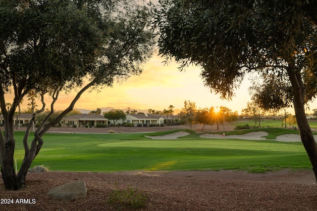 view of home's community featuring a lawn