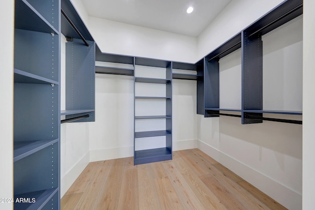 spacious closet with hardwood / wood-style floors