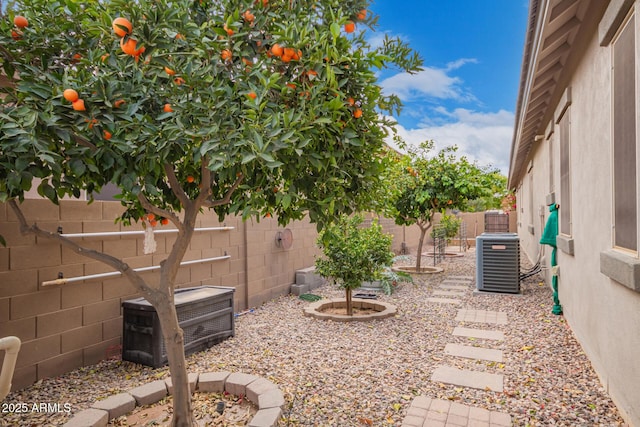 view of yard featuring central AC