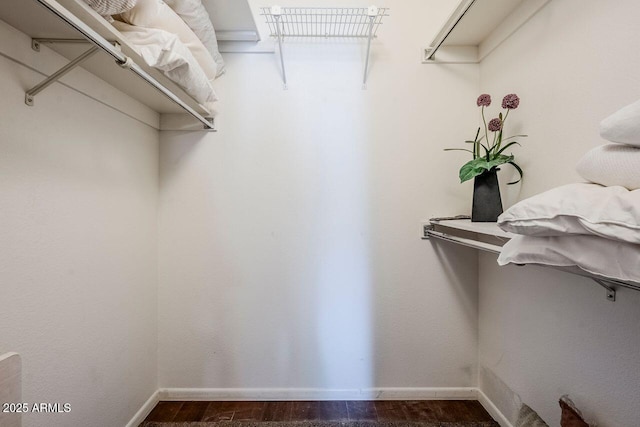 walk in closet featuring dark hardwood / wood-style flooring