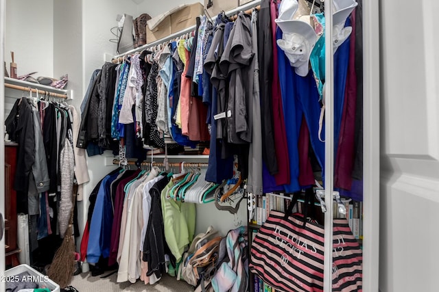 spacious closet with carpet flooring