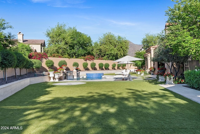 view of yard with a patio and a swimming pool