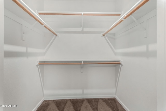 walk in closet with carpet floors