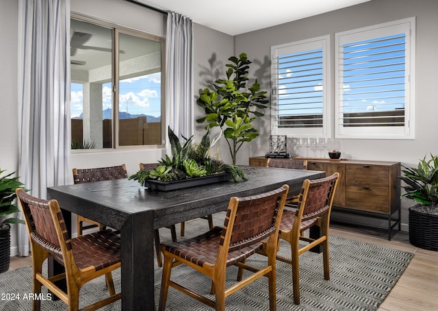 dining space featuring light wood-style floors