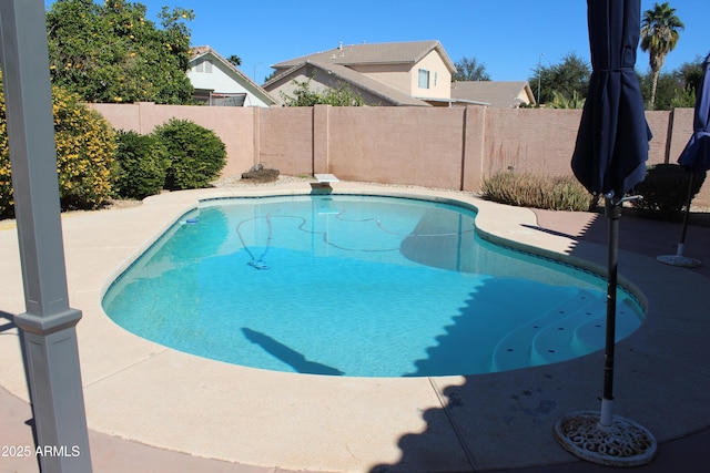 view of pool featuring a patio, a fenced in pool, and a fenced backyard
