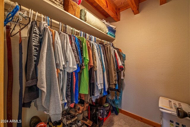 view of spacious closet