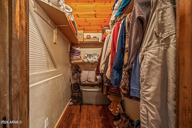 spacious closet featuring wood-type flooring