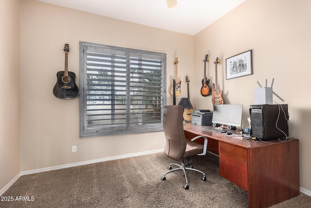 office featuring carpet flooring