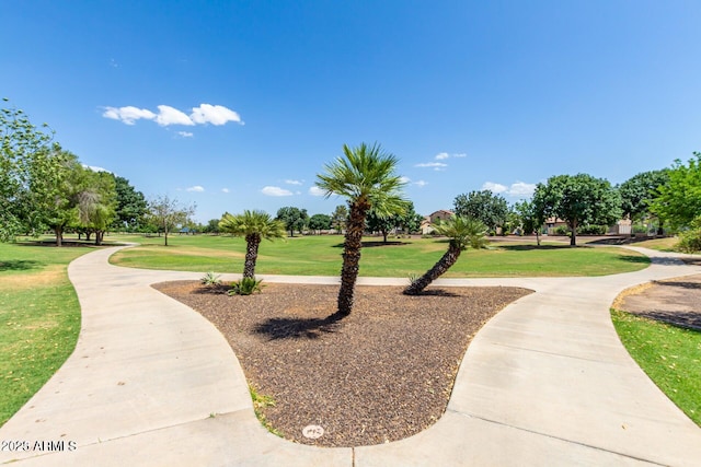 view of community with a lawn