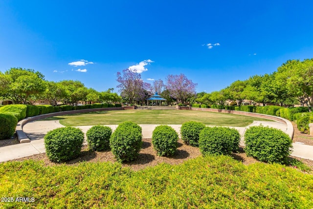 view of property's community featuring a lawn