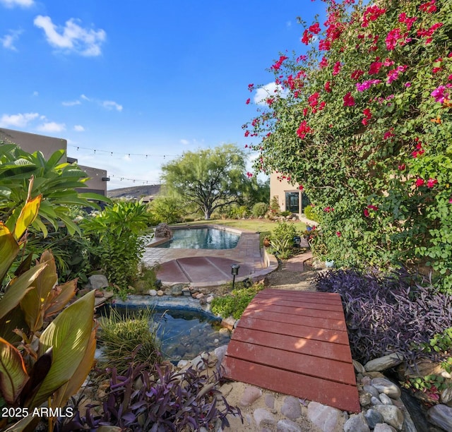 view of pool featuring a patio