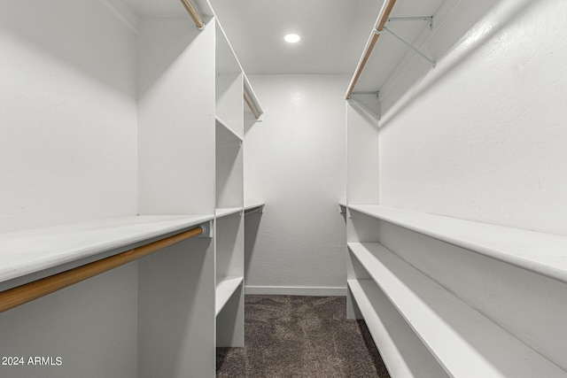 walk in closet with dark colored carpet