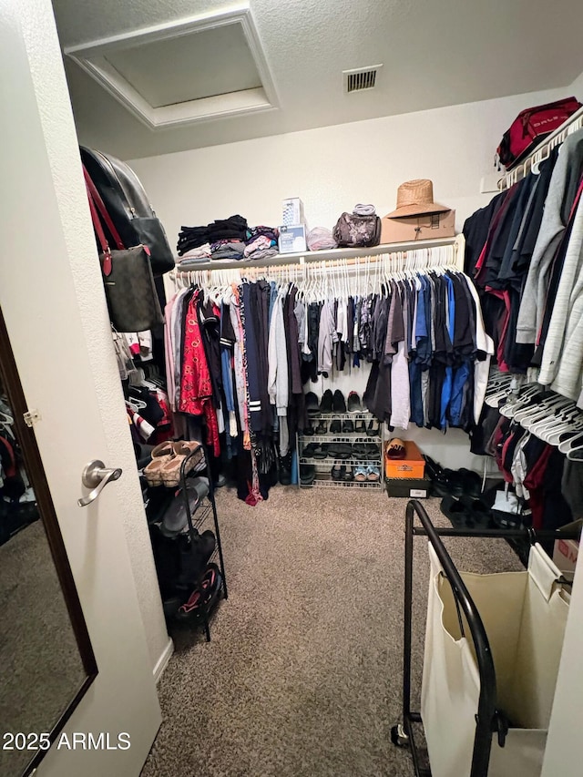3418 W Maldonado Rd, Phoenix, AZ 85041 - walk in closet with attic access and carpet floors