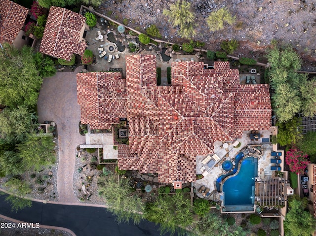 bird's eye view
