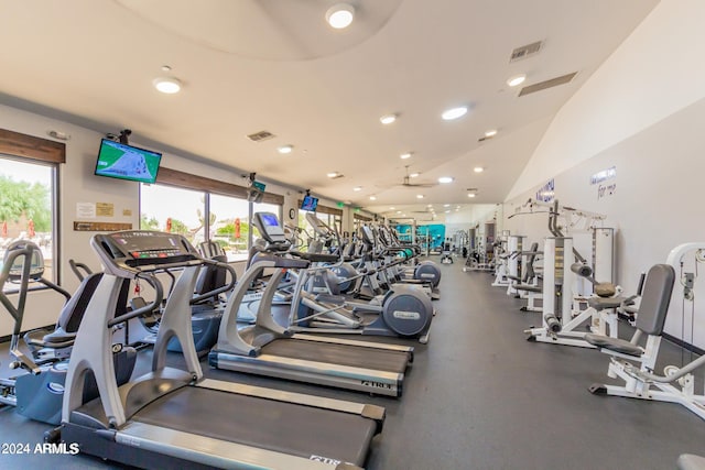 gym with lofted ceiling and a wealth of natural light