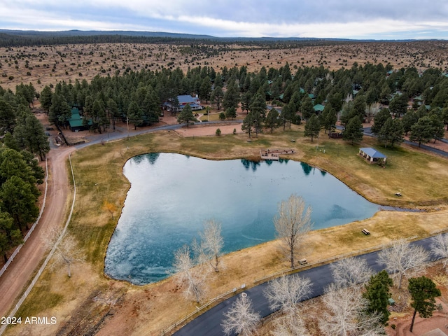 bird's eye view with a water view