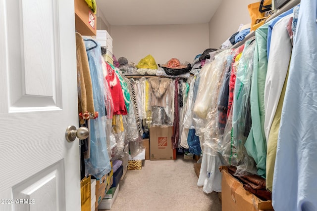 walk in closet with carpet flooring