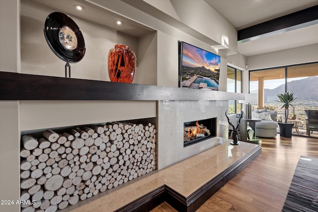 living room featuring light wood-type flooring and a premium fireplace