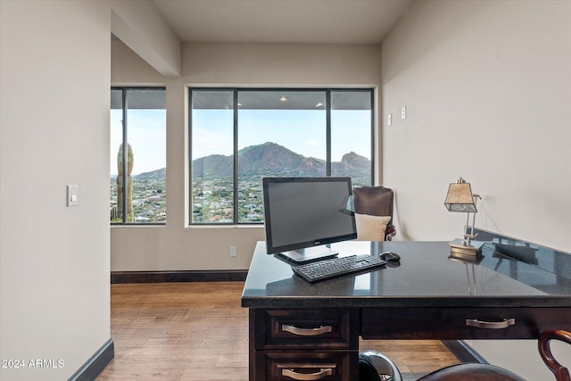 office area featuring light hardwood / wood-style floors