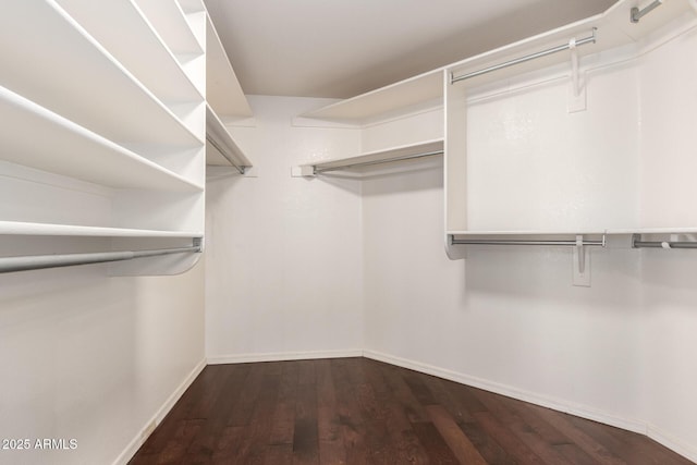 2230 E Whitten St, Chandler, AZ 85225 - walk in closet featuring wood finished floors