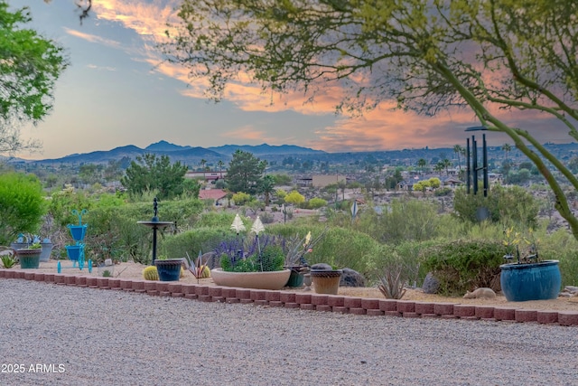 1185 S Camino Cobre Dr, Wickenburg, AZ 85390 - view of mountain feature