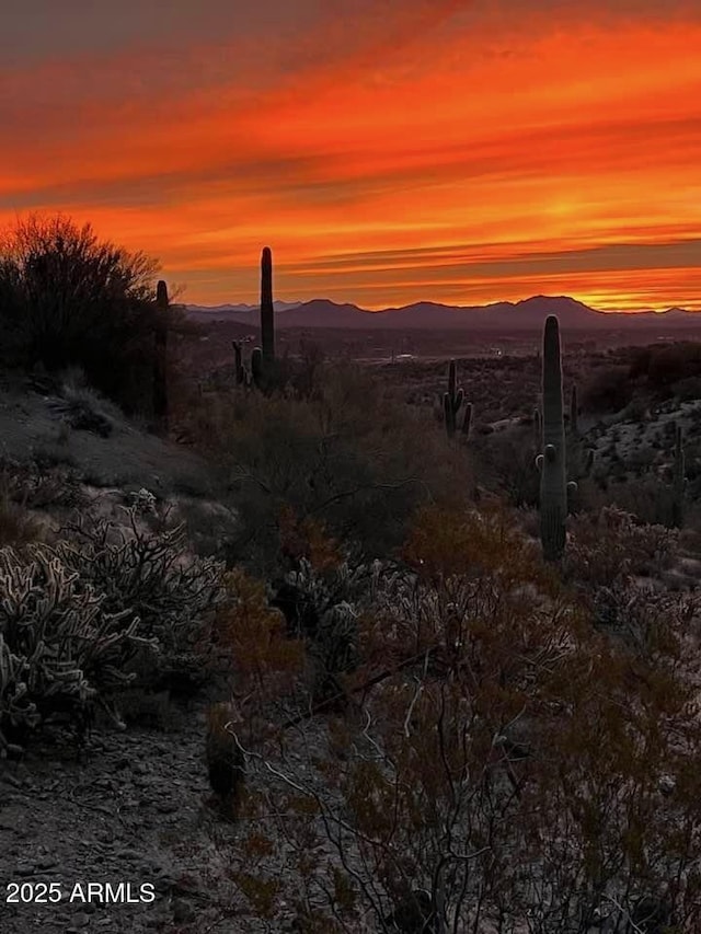 1185 S Camino Cobre Dr, Wickenburg, AZ 85390 - view of mountain feature