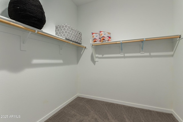27647 N 176th Dr, Surprise, AZ 85387 - spacious closet with carpet flooring