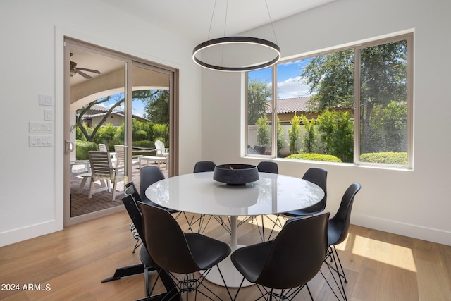 dining space with ceiling fan and light hardwood / wood-style floors