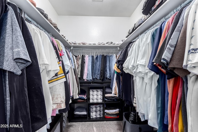 walk in closet featuring carpet floors